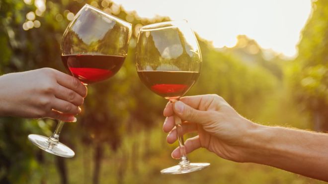 червоне вино корисно для кишечника